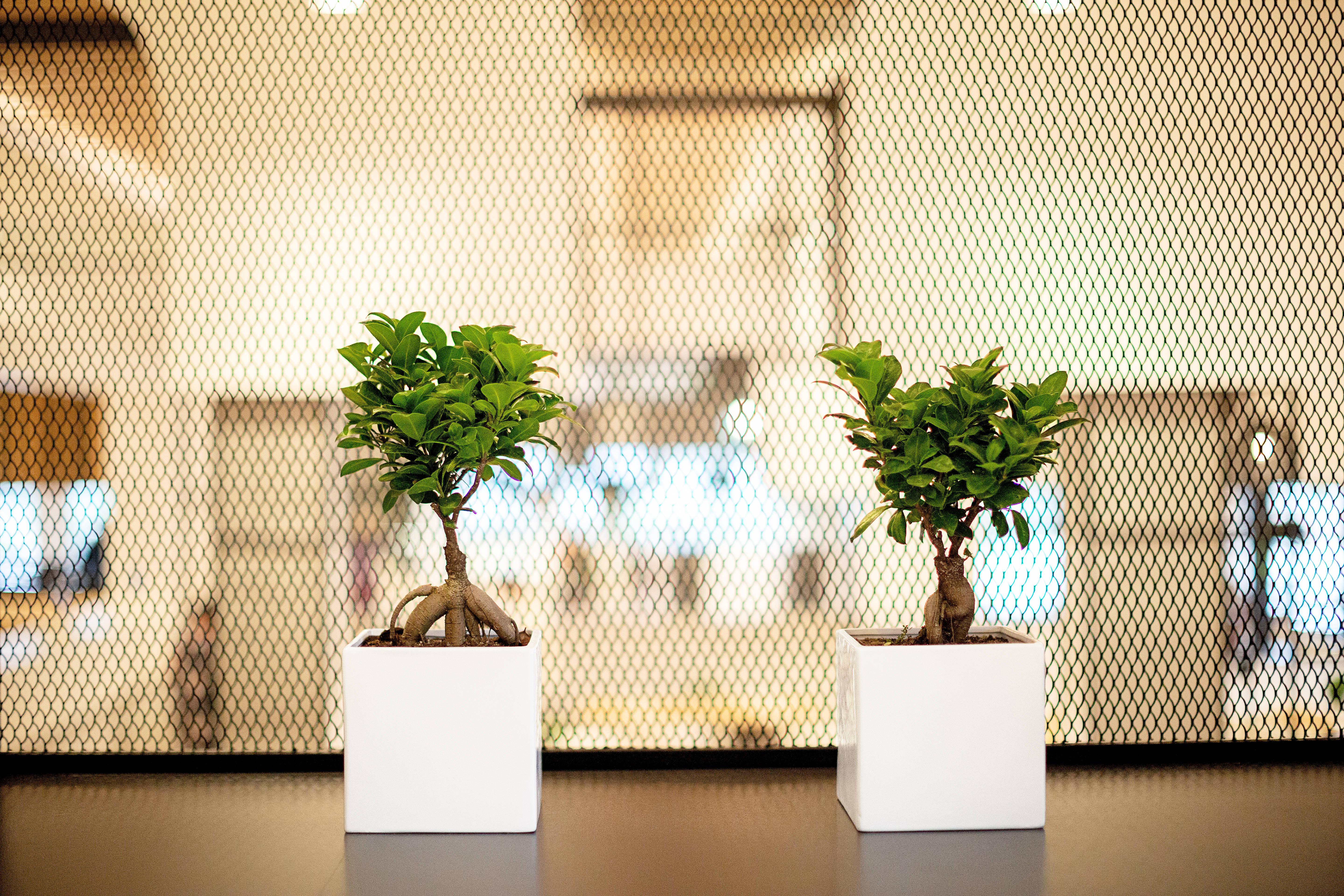 Hotel Cyprotel Faliraki, Greece - book now, 2026 prices