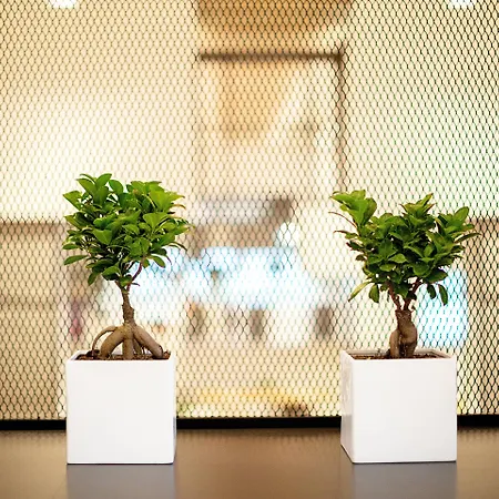 מלון Cyprotel 4*