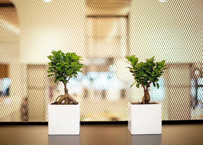 מלון Cyprotel 4*